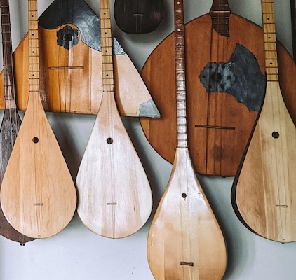 Collection of stringed instruments